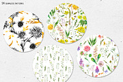 Watercolor meadow herbs&flowers, an Illustration by Depiano (Thumbnail 14 of 19)