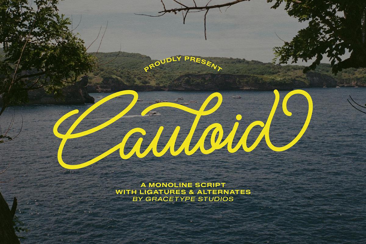 Cauloid | Monoline Script, a Script Font by gracetype_studio (Photo 1 of 12)