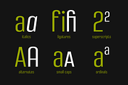 Densa Font Family, a Sans Serif Font by Graviton Font Foundry (Thumbnail 6 of 6)