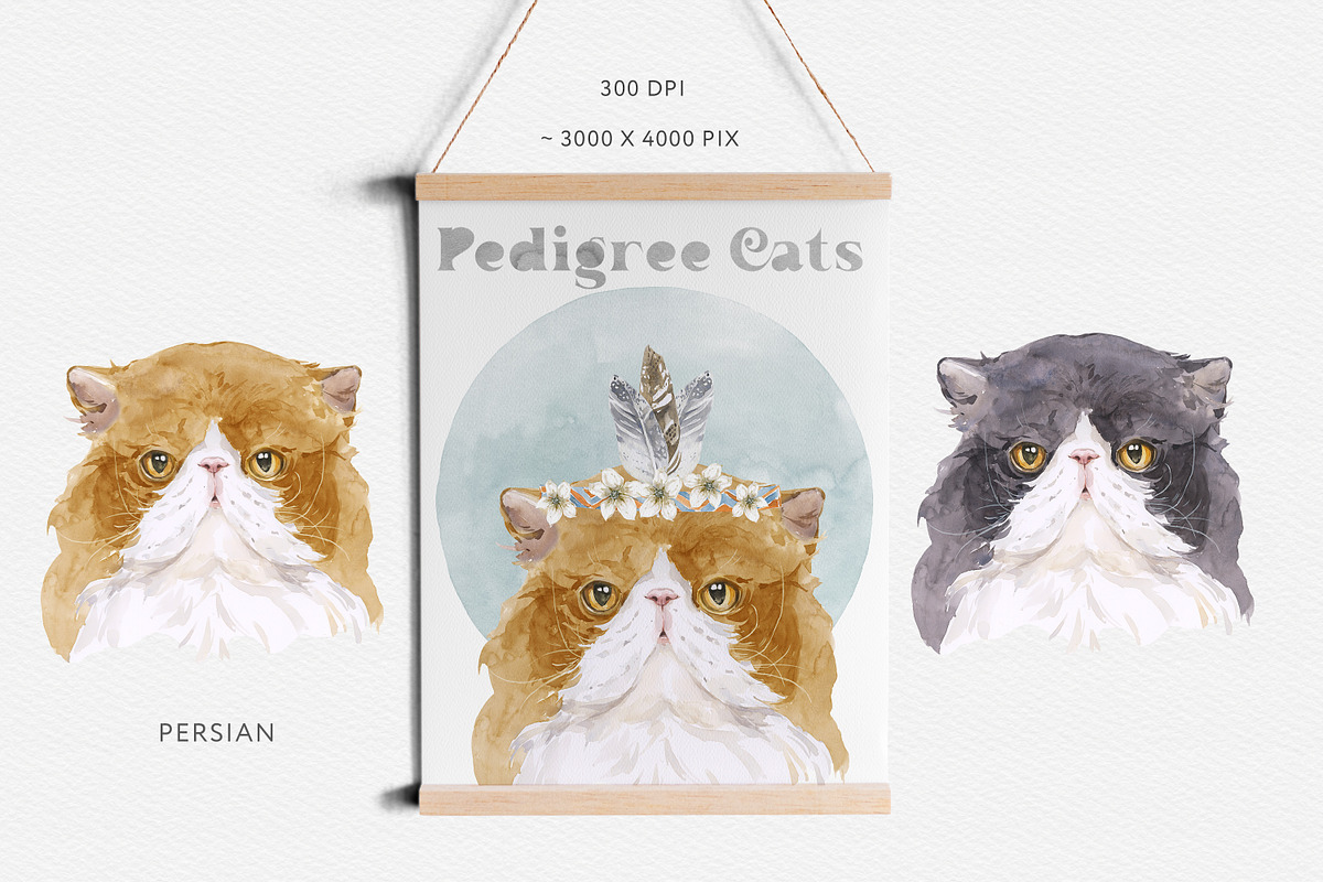 Feline Nature. Cat Portrait Creator, an Illustration by Cat In Colour (Photo 2 of 14)
