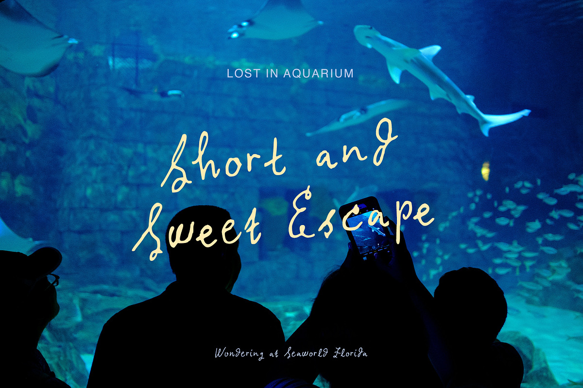 Wanderblush Adorable Handwritten, a Handwritten Font by Perplexitics (Photo 3 of 10)