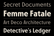 FERNOA - Dramatic Sans Serif Family, a Sans Serif Font by Nasir Udin (Thumbnail 8 of 14)