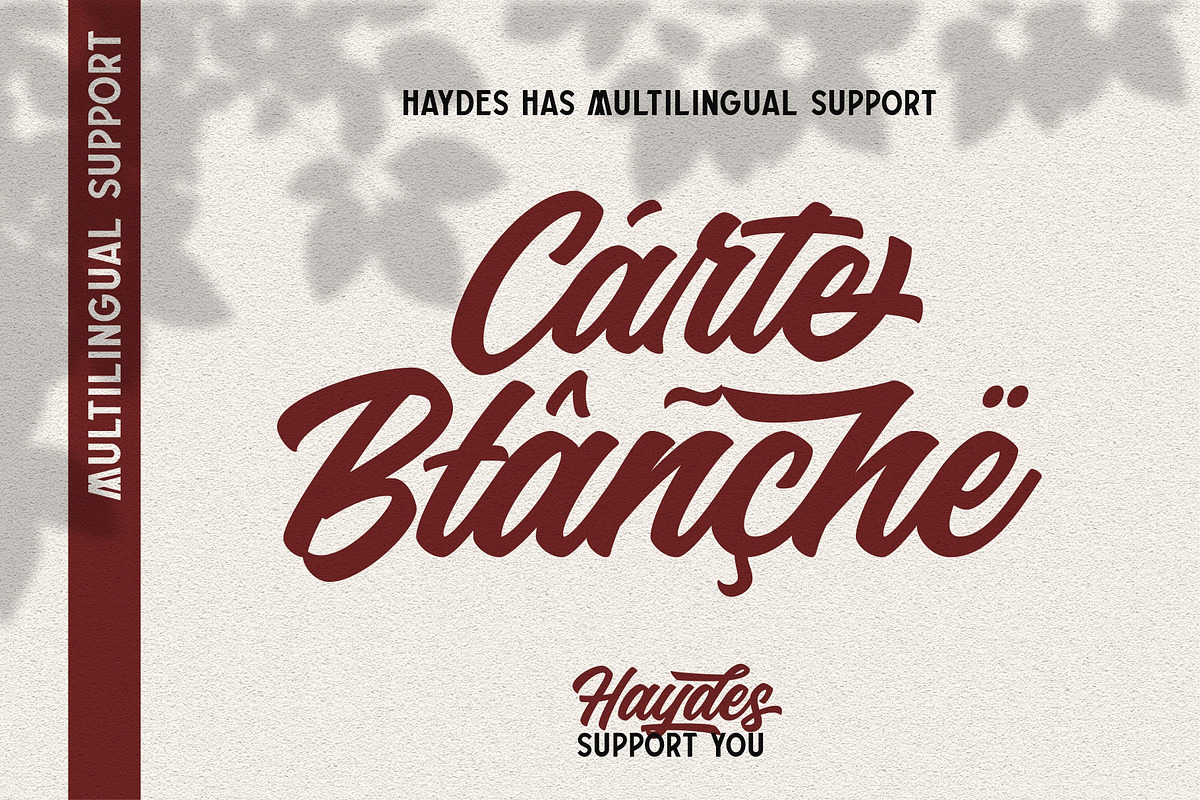Haydes Script Font preview 4