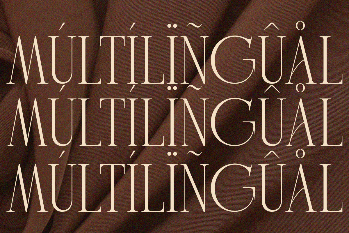 Charnoir - Modern Elegant Luxury, a Serif Font by Qweera Studio (Photo 12 of 12)