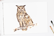 Watercolor Mother & Baby - Owls, an Animal Illustration by Tati Bordiu (Thumbnail 2 of 2)