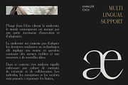 Chavler – Serif Typeface, a Serif Font by Craft Supply Co. (Thumbnail 5 of 8)
