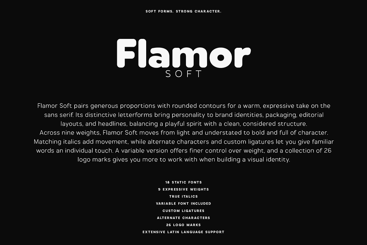 Flamor Soft - Rounded Sans Serif, a Sans Serif Font by VP Fonts (Photo 2 of 28)