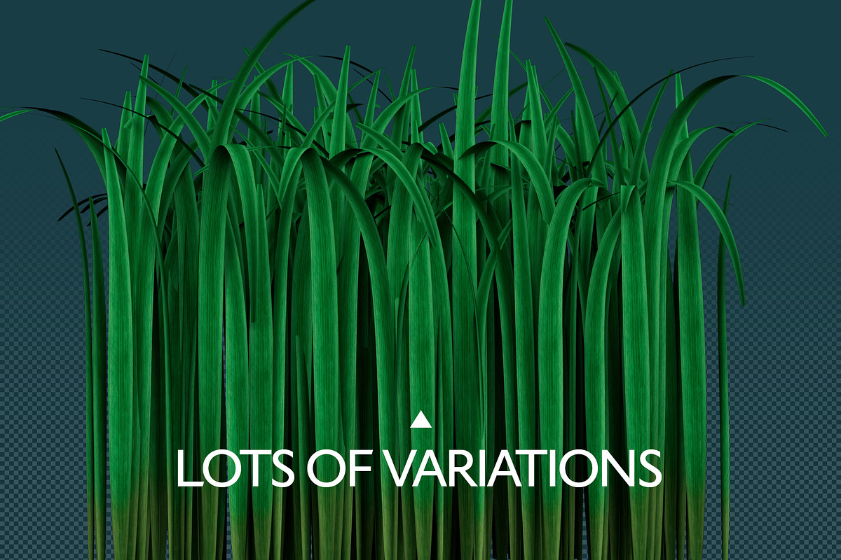 Grass Brushes for PS and PNGs, a Brush Add-On by Creative Graphics (Photo 4 of 6)
