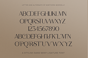 Northern Worssley - Ligature Sans, a Sans Serif Font by Typetemp Studio (Thumbnail 16 of 17)