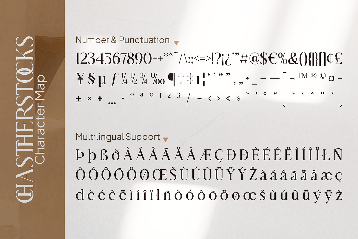 Chastherstocks Stylish Modern Font, a Serif Font by Vampstudio (Photo 13 of 13)