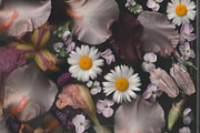 La Fleur — Vintage Spring Florals, a Wallpaper Graphic by nadispasibenko (Thumbnail 5 of 12)