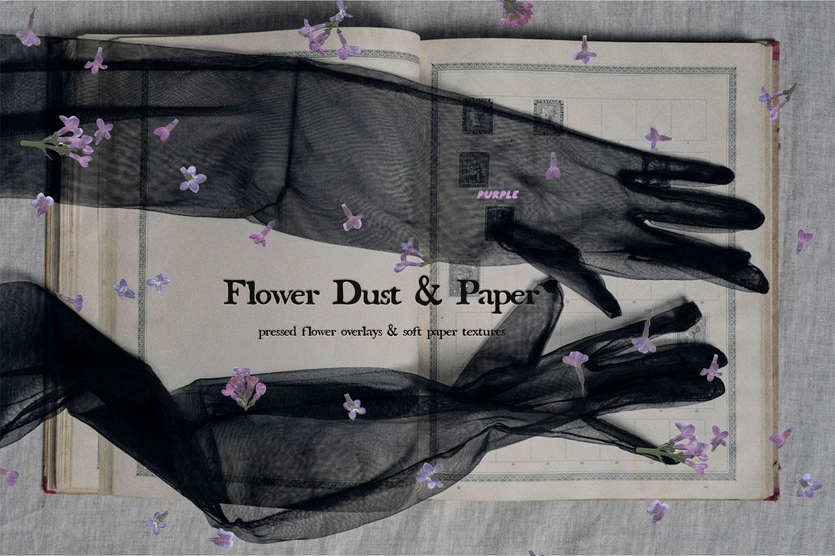 Flower Dust Overlays & Paper Texture, a Texture Graphic by Purple (Photo 1 of 15)