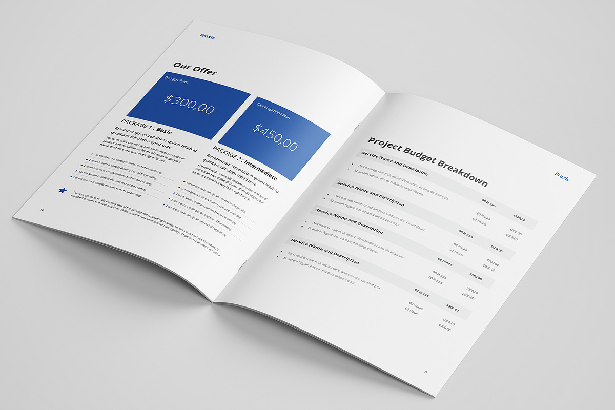 The Proposal, a Stationery Template by azadcsstune (Photo 10 of 11)