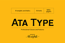 Ata Type - 30% SAVE