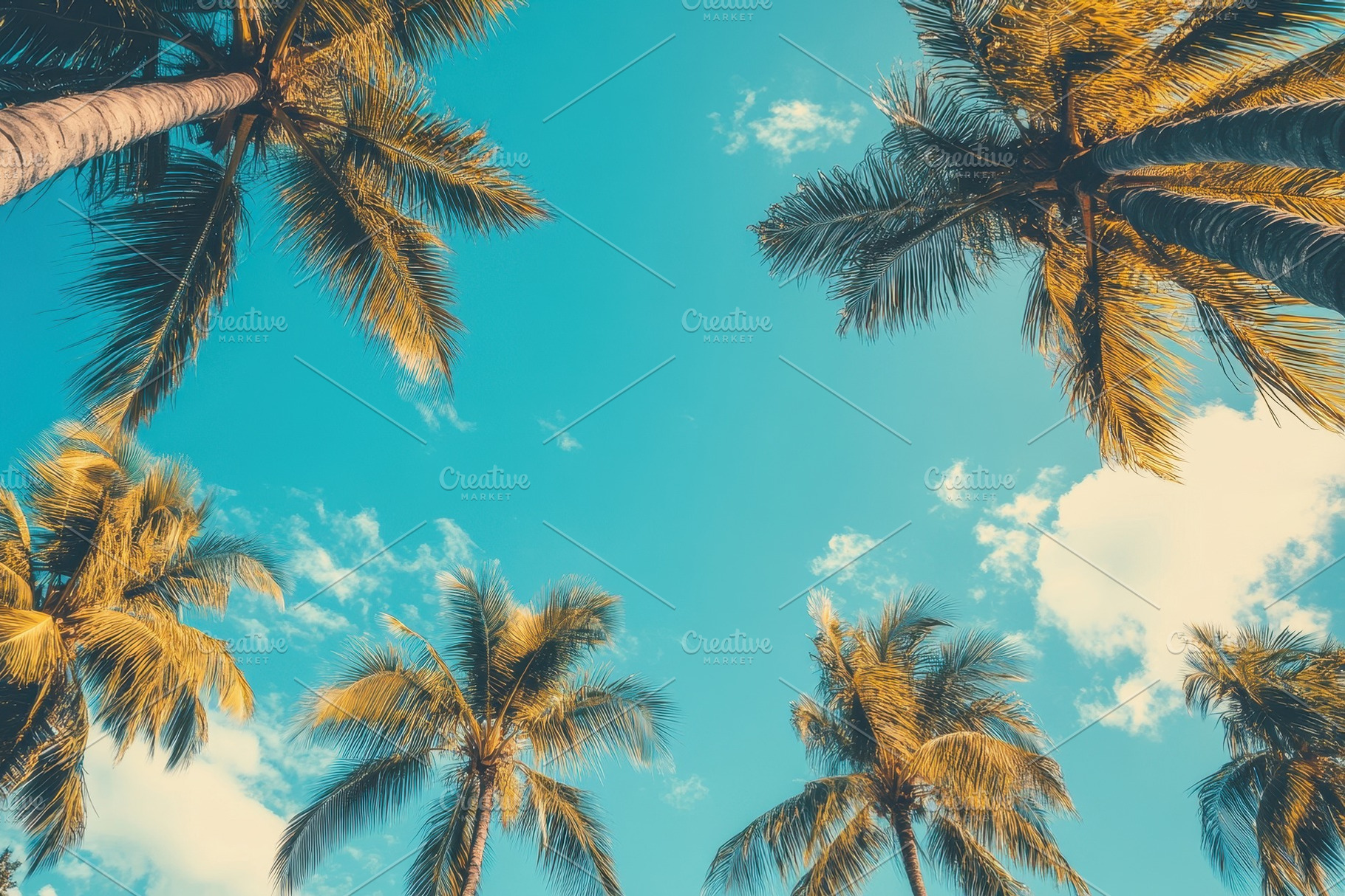 Vintage style view of blue sky, a Photo by Pavel_design