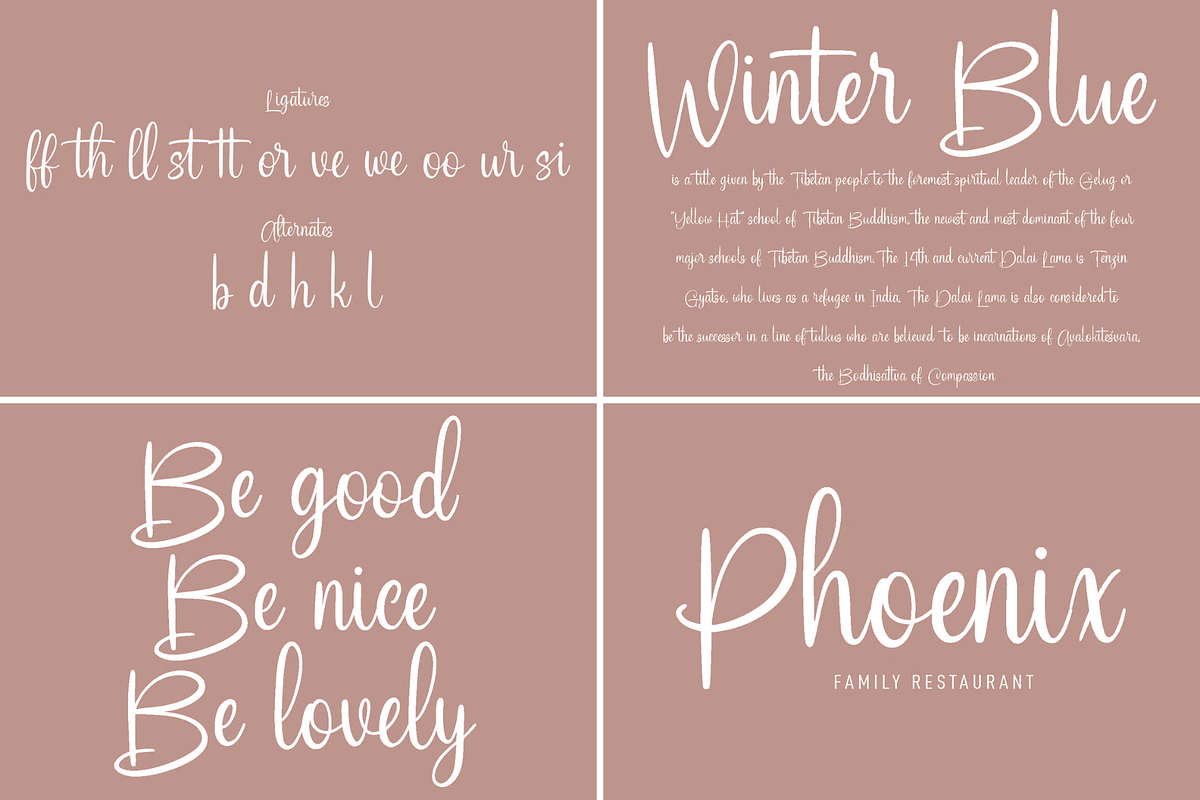 Gilly Chics Handwritten Script Font, a Handwritten Font by MACK 75 (Photo 2 of 3)