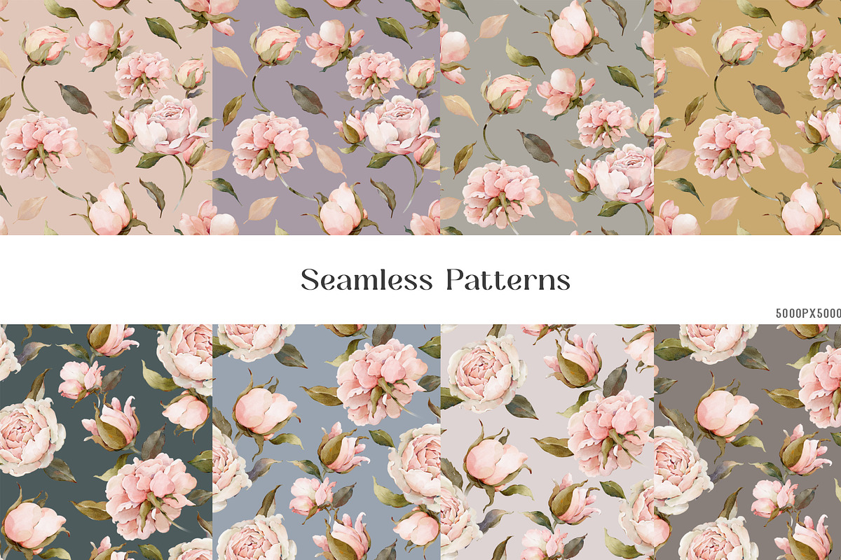 Watercolor Rose Floral Elements, a Decorative Illustration by Damian Roh (Photo 11 of 13)