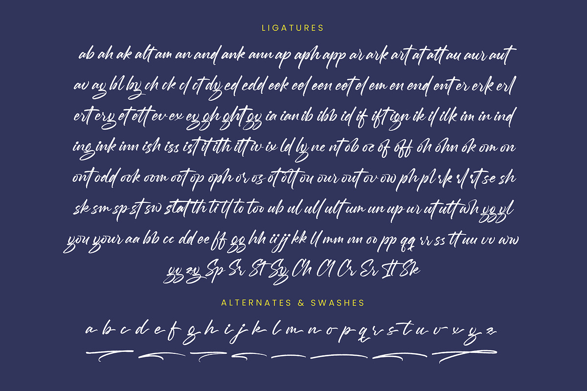 Mention Roberto Modern Brush Font, a Script Font by stylishtype.co (Photo 19 of 20)