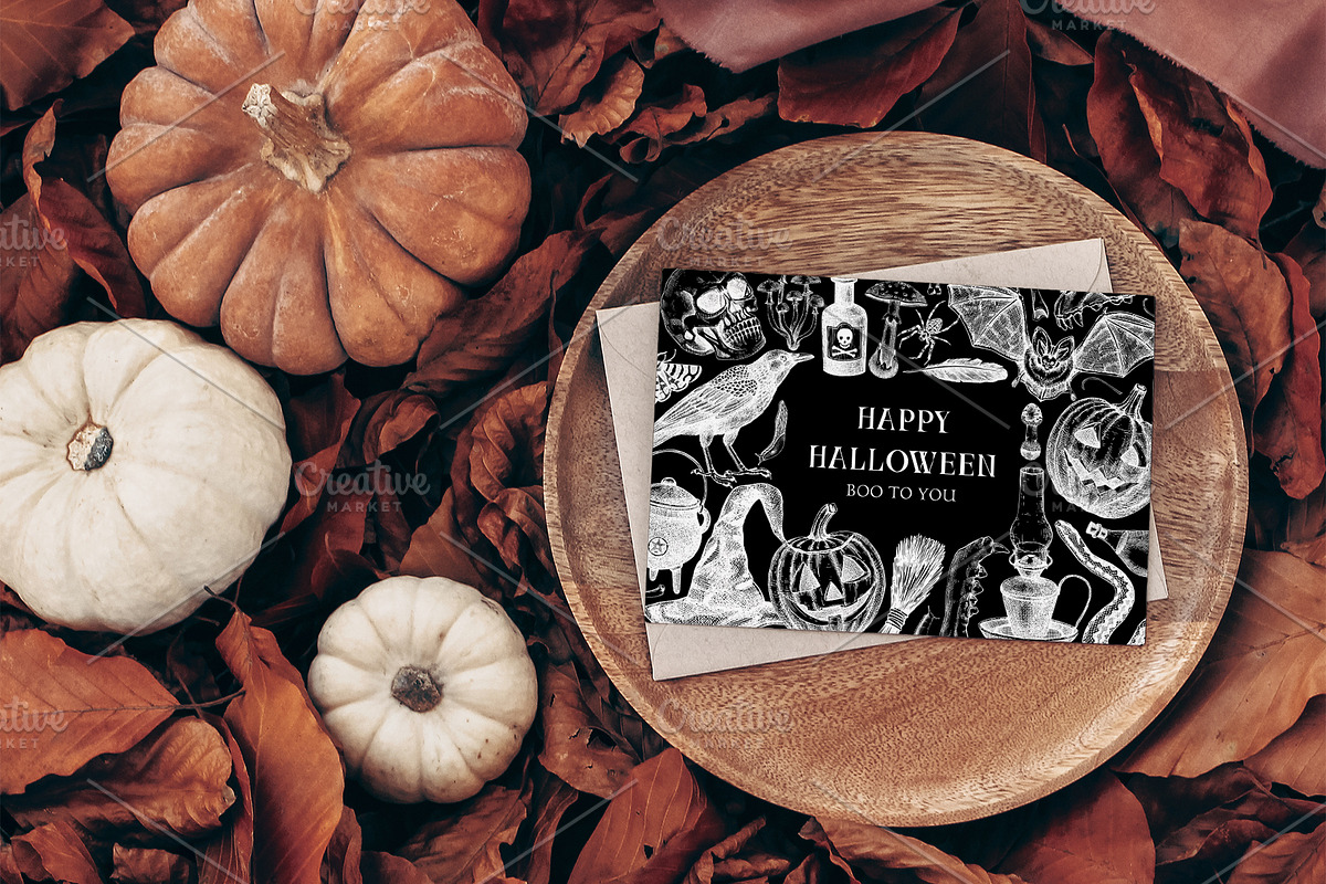 Vector Halloween sketches & designs, a Seasonal Illustration by Yevheniia (Photo 10 of 10)