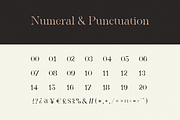 The Heart Mighty - Elegant Serif, a Serif Font by RockboyStd (Thumbnail 9 of 12)
