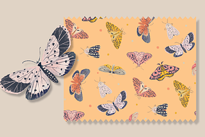 Delicate Butterfly Patterns