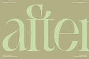 SLTF BOXROOM - Modern Serif Typeface, a Serif Font by SilverStag Type Foundry (Thumbnail 17 of 30)