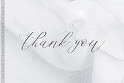 Althea Script, a Script Font by Chocotype Std (Thumbnail 11 of 11)