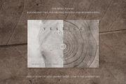 Vestige · Organic Backgrounds, a Background Graphic by alonahaidash (Thumbnail 14 of 14)