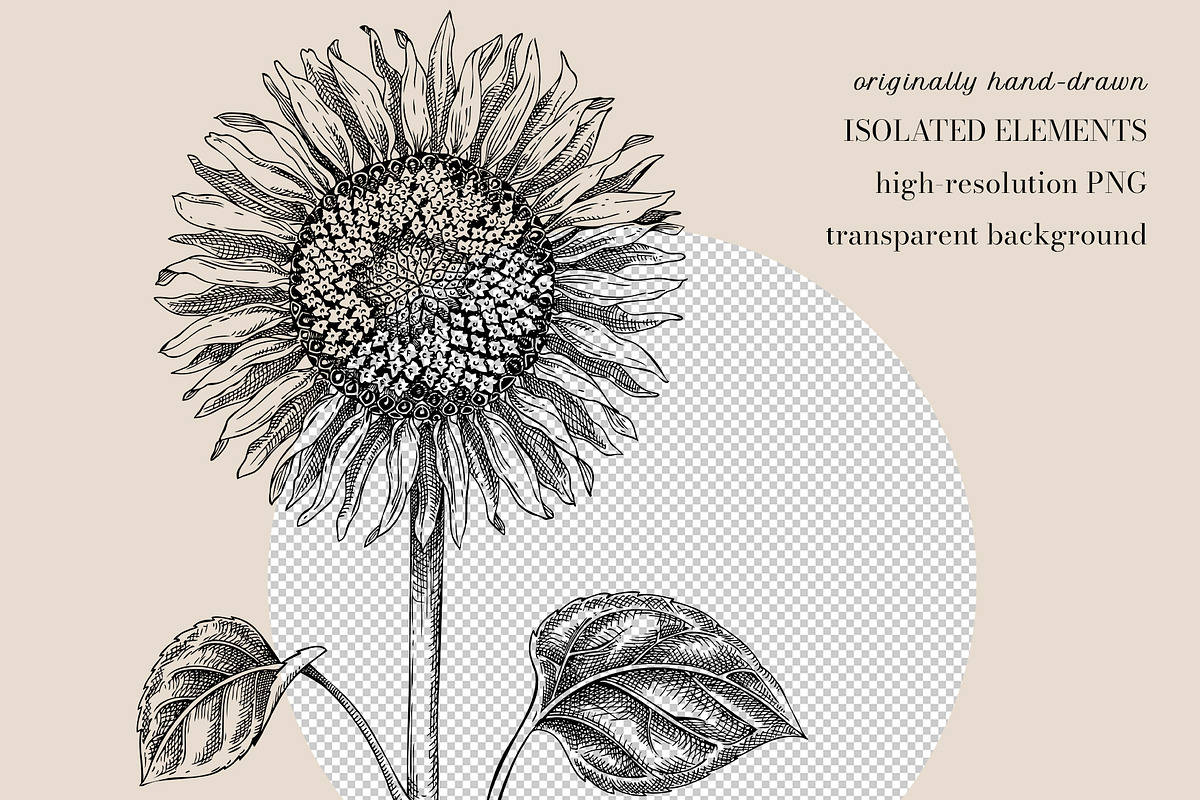 Autumn Heritage Botanical Collection, a Seasonal Illustration by Yevheniia (Photo 5 of 13)