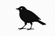 Bird Silhouette design bundle, an Illustration by hafijul (Thumbnail 2 of 13)