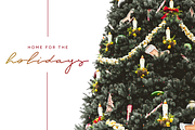Tehika Script + Bonus, a Script Font by Flycatcher Design (Thumbnail 2 of 6)