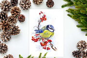 SALE! Watercolor Titmouse Great tit, a Decorative Illustration by MaryAmi (Thumbnail 2 of 3)