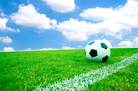 Soccer ball in grass., a Sports & Recreation Photo by a454