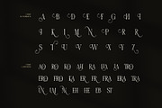 Ahira Brond Contrast Serif Font, a Serif Font by Graphicxell (Thumbnail 8 of 8)