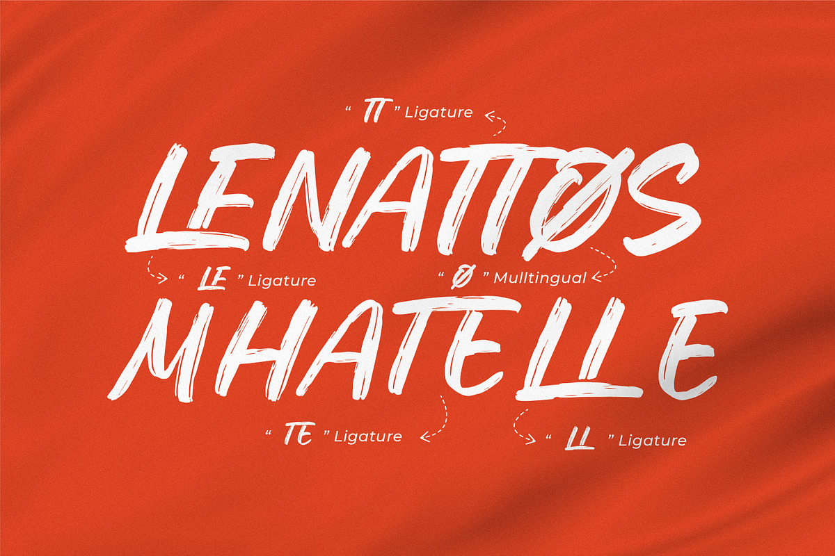 Lecuretta, a Script Font by Integritype Studio (Photo 14 of 15)