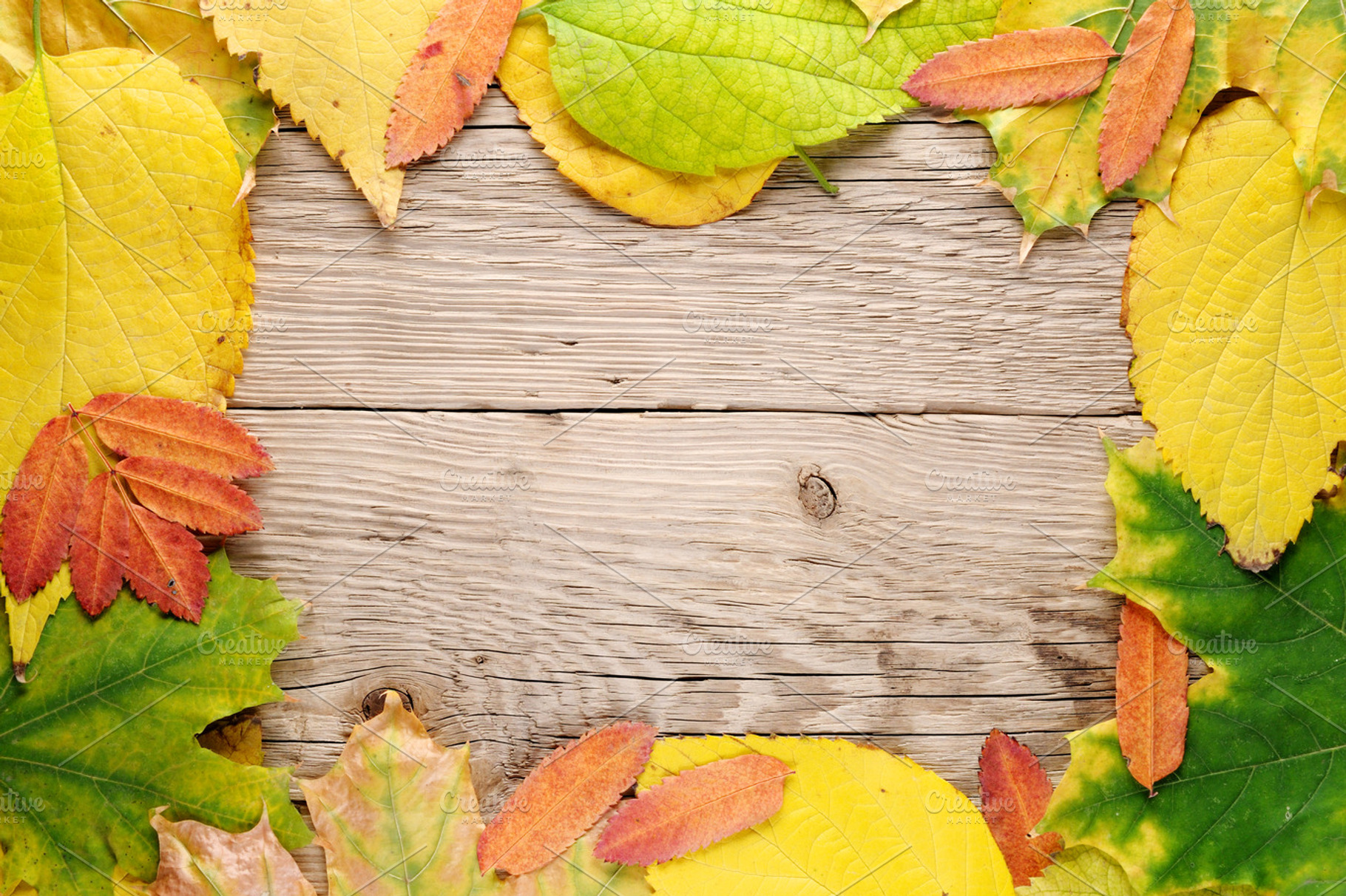 Autumn Leaves Stock Photo Containing Autumn And Fall