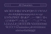 Glastone Vintage, a Serif Font by Craft Supply Co. (Thumbnail 8 of 8)