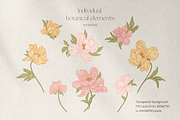 My lovely peonies. Color & B&W, an Illustration by Lisla (Thumbnail 10 of 11)