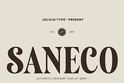 Saneco | Display Serif, a Serif Font by Jolicia Type (Thumbnail 1 of 12)