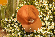 Portfolio Lightroom Presets, a Brushes & More by Cactus Country (Thumbnail 5 of 13)
