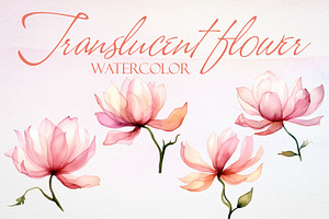 Watercolor Translucent Flower Vector