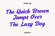 Segalecy Retro Vintage Font Duo, a Script Font by Maulana Creative (Thumbnail 7 of 7)