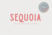 Sequoia Sans - Elegant Display Font, a Sans Serif Font by Callie Rian & Co. (Thumbnail 1 of 13)