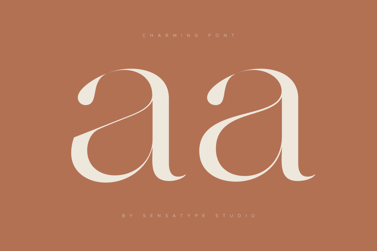 Charming - Classy & Decorative Font, a Serif Font by Sensatype (Photo 6 of 21)
