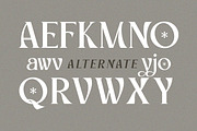 Vlatcho - Elegant Refined Serif, a Serif Font by Qweera Studio (Thumbnail 10 of 12)