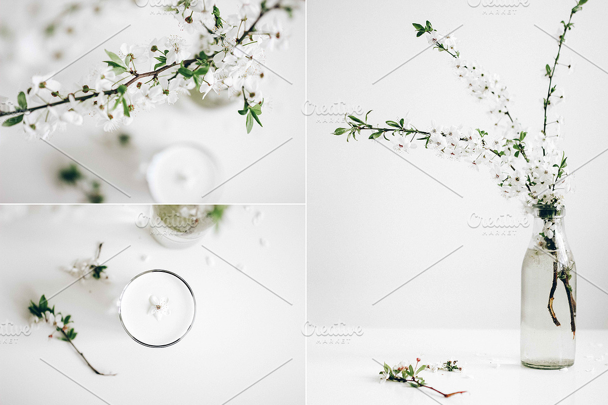 Ranunculus and blooming branches, an Arts & Entertainment Photo by Alena Ermakova (Photo 2 of 3)