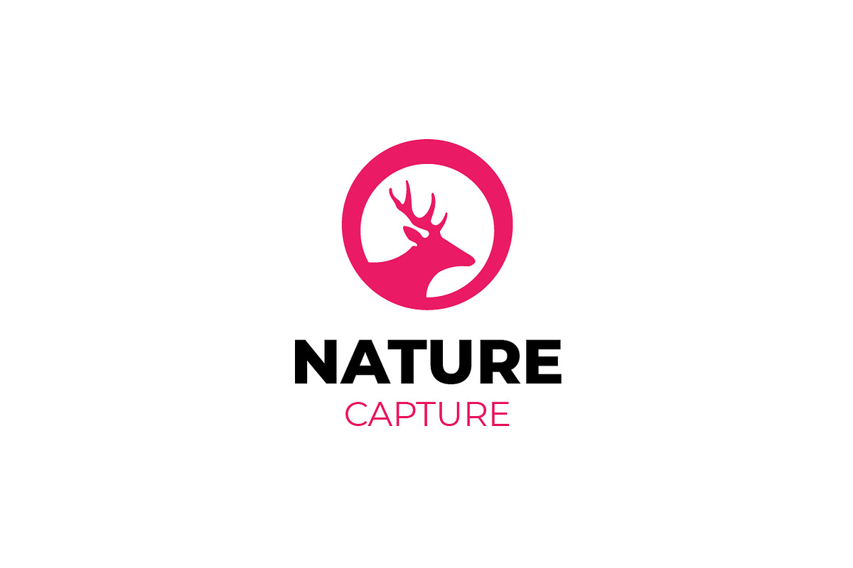 Wildlife Photography Deer Logo, a Branding & Logo Template by bvcreates (Photo 4 of 6)