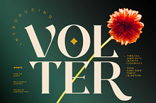 Volter