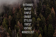 Forest Dreams, a Serif Font by Nomad Stockpile (Thumbnail 3 of 4)