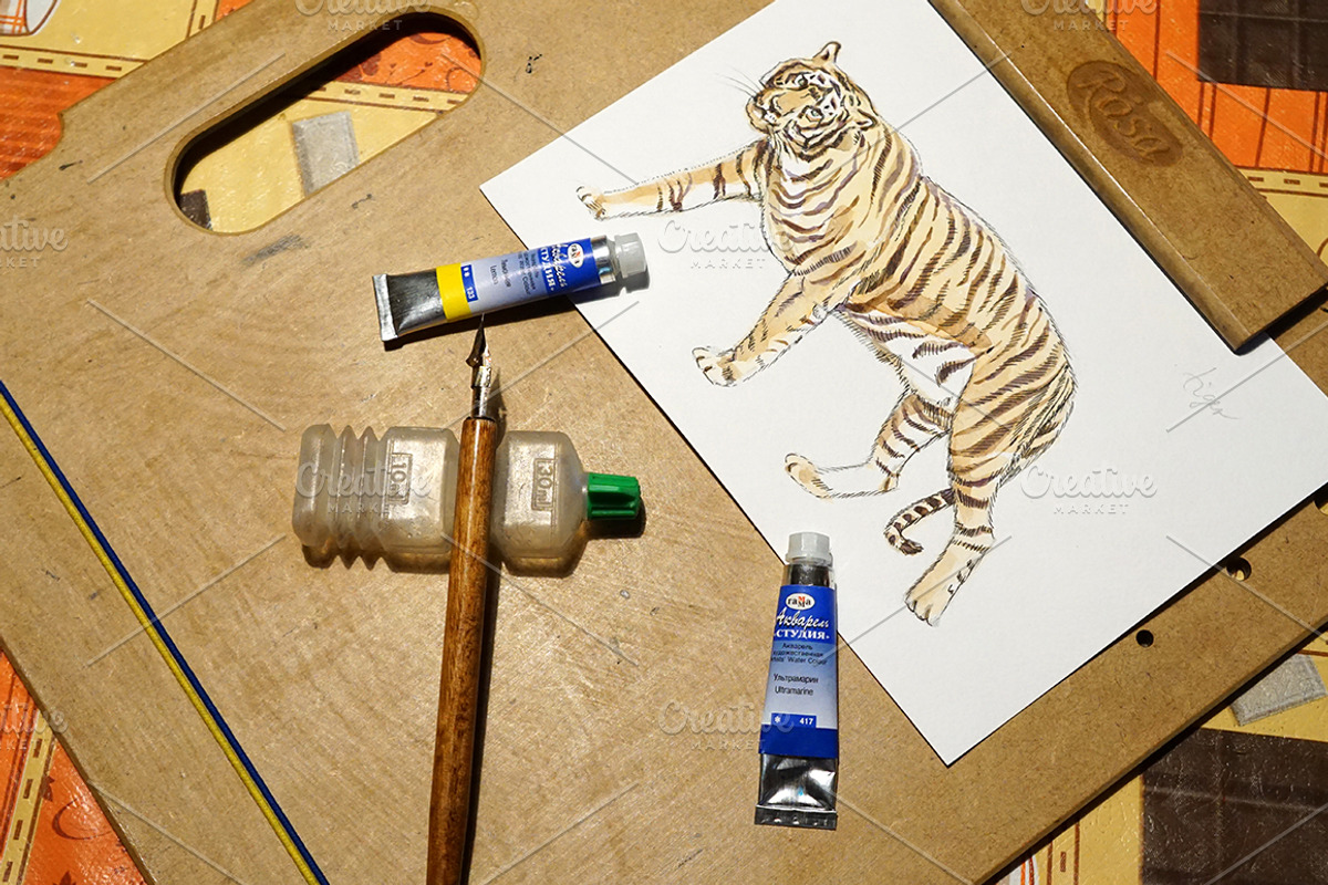 Watercolor zoo animals vector set, an Animal Illustration by miminoshka (Photo 9 of 9)